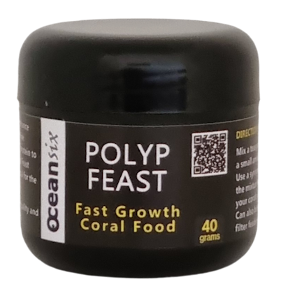 Polyp Feast